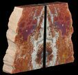 Tall, Colorful, Arizona Petrified Wood Bookends #65963-1